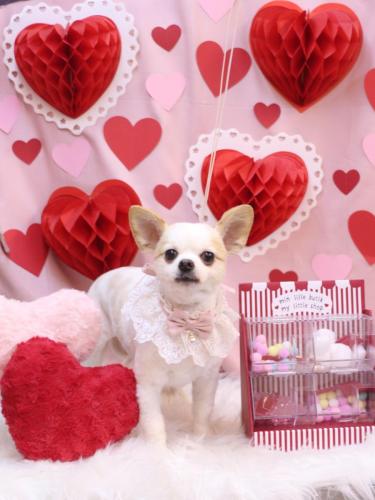 20240221モナちゃん